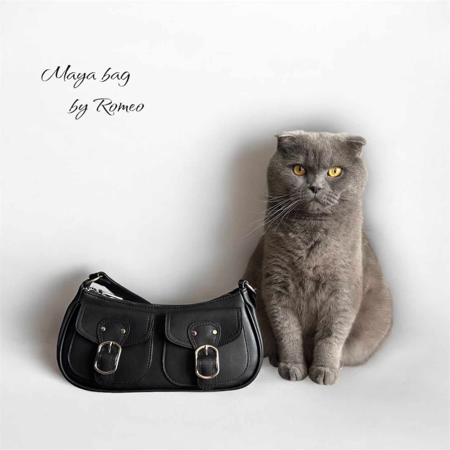 Gray cat sitting next to a black handbag with 'Maya bag by Romeo' text on a light gray background
